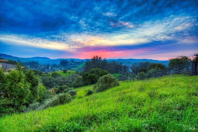a view of a city with lush green forest