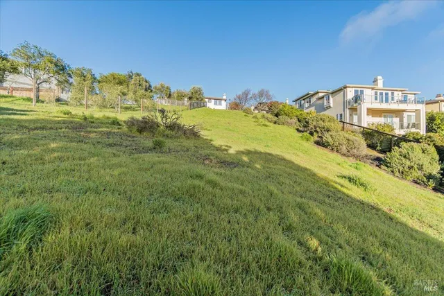 a view of a green field with lots of bushes
