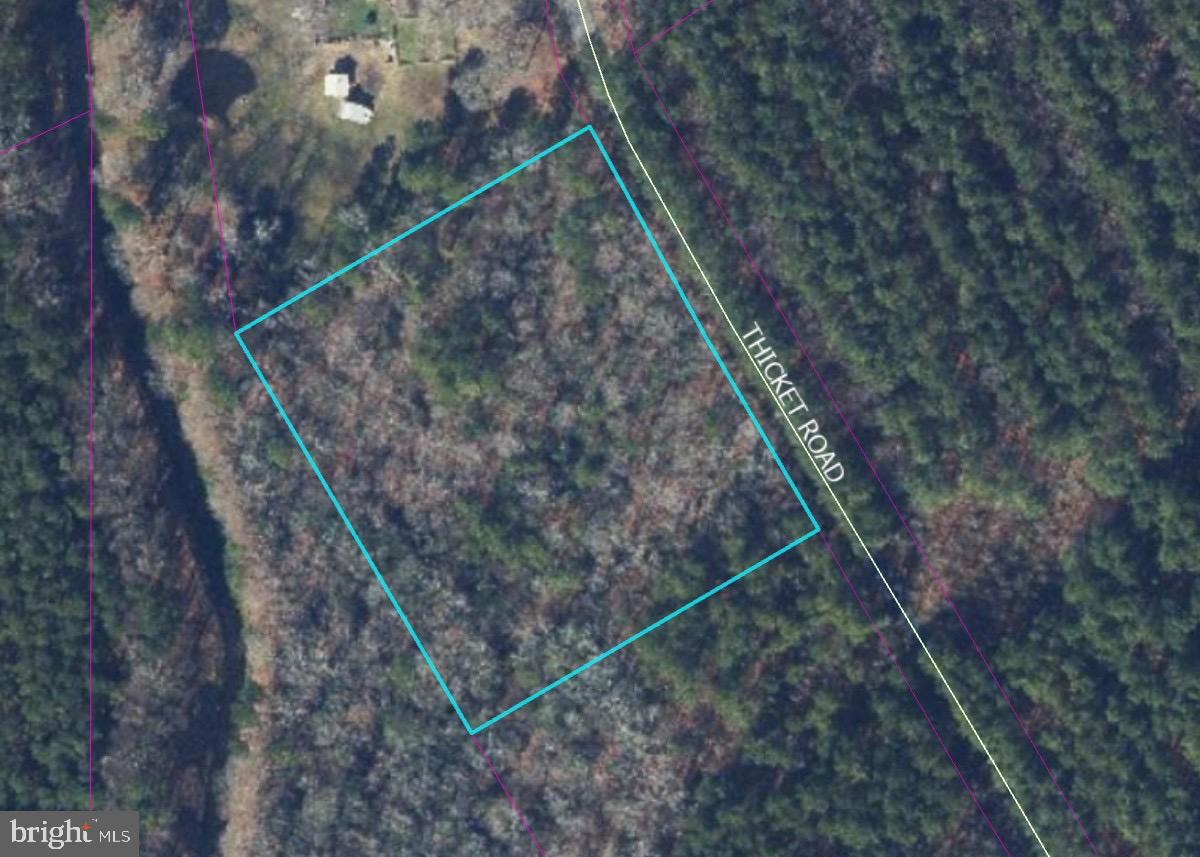 0 Thicket Road Milton, DE 19968 - Photo 3 of 3