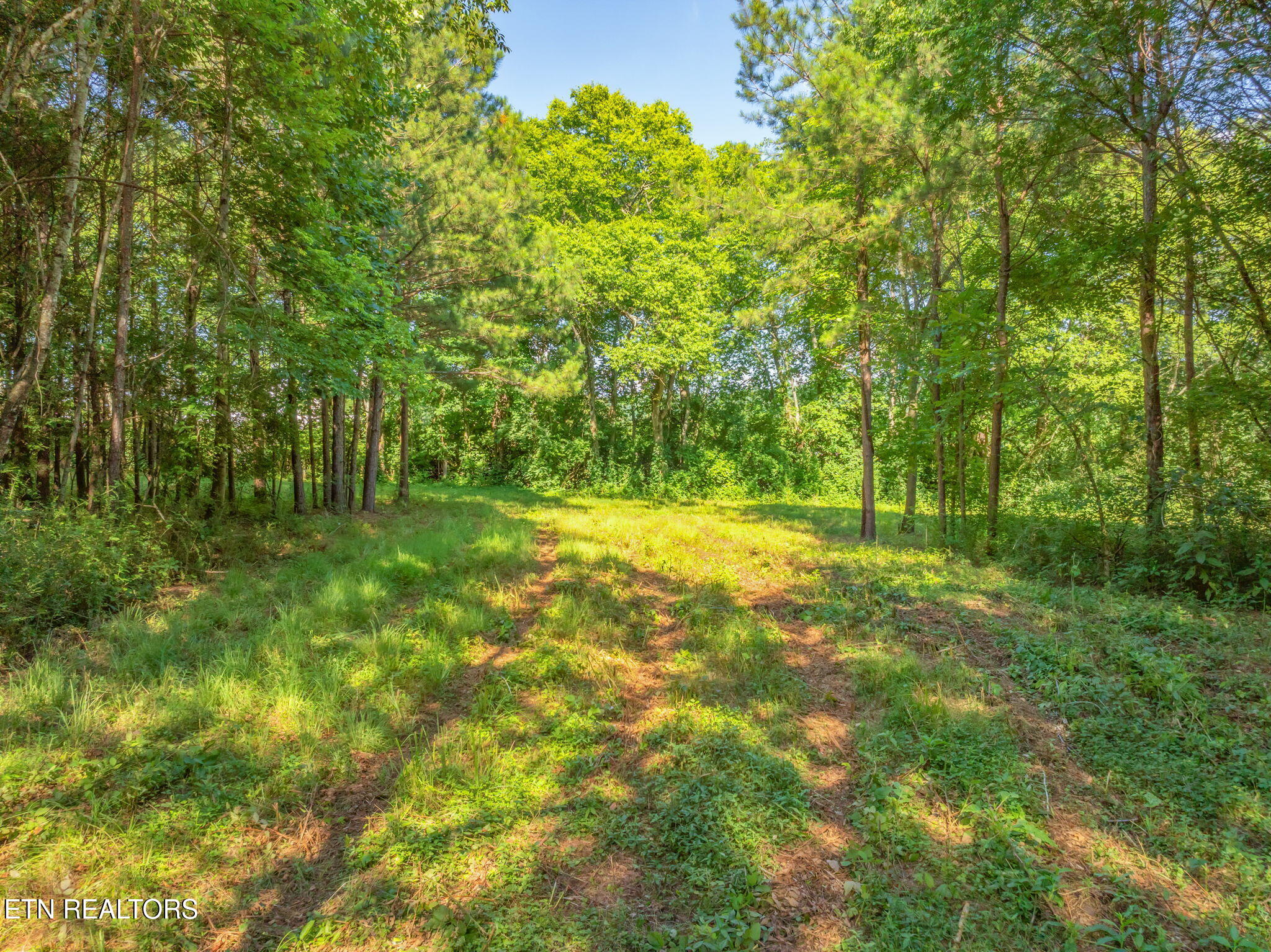 2079 North Highway 11 Rising Fawn, GA 30738 - Photo 13 of 17 27-web-or-mls-2079 Hwy 11 N-25