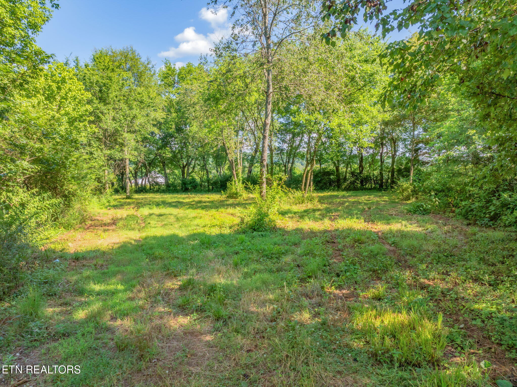 2079 North Highway 11 Rising Fawn, GA 30738 - Photo 4 of 17 25-web-or-mls-2079 Hwy 11 N-23