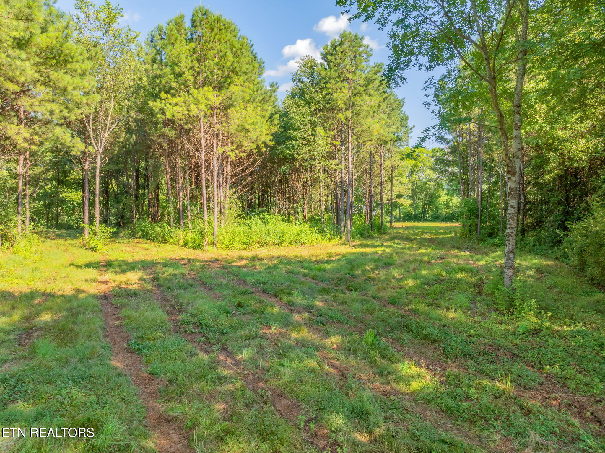 2079 North Highway 11 Rising Fawn, GA 30738 - Photo 6 of 17 26-web-or-mls-2079 Hwy 11 N-24