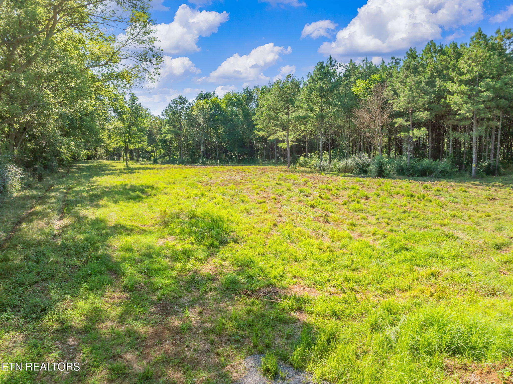 2079 North Highway 11 Rising Fawn, GA 30738 - Photo 7 of 17 30-web-or-mls-2079 Hwy 11 N-28