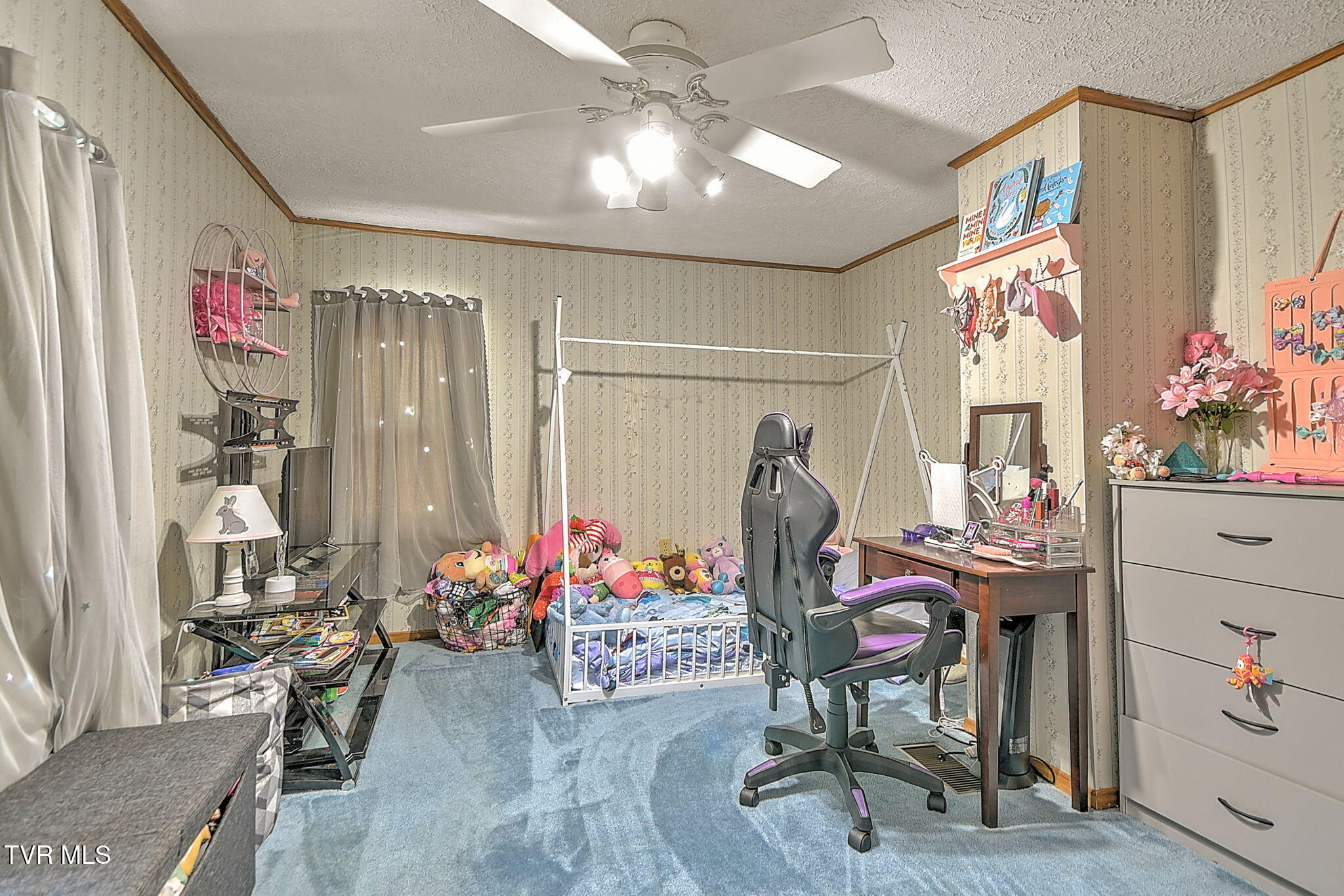 2424 Overlook Road Kingsport, TN 37664 - Photo 20 of 33 20-web-or-mls-2424 Overlook MC-21