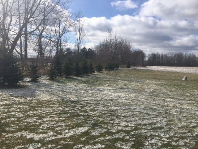 10423 North Rich Road Alma, MI 48801 - Photo 20 of 23 1814166-19.JPG