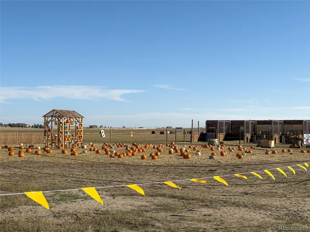 a view of swimming pool with outdoor seating and yard in the back