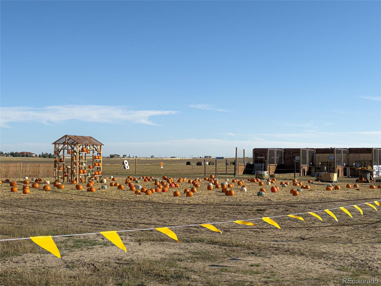 9 Timberlake Road Byers, CO 80103 - Photo 27 of 28 a view of swimming pool with outdoor seating and yard in the back