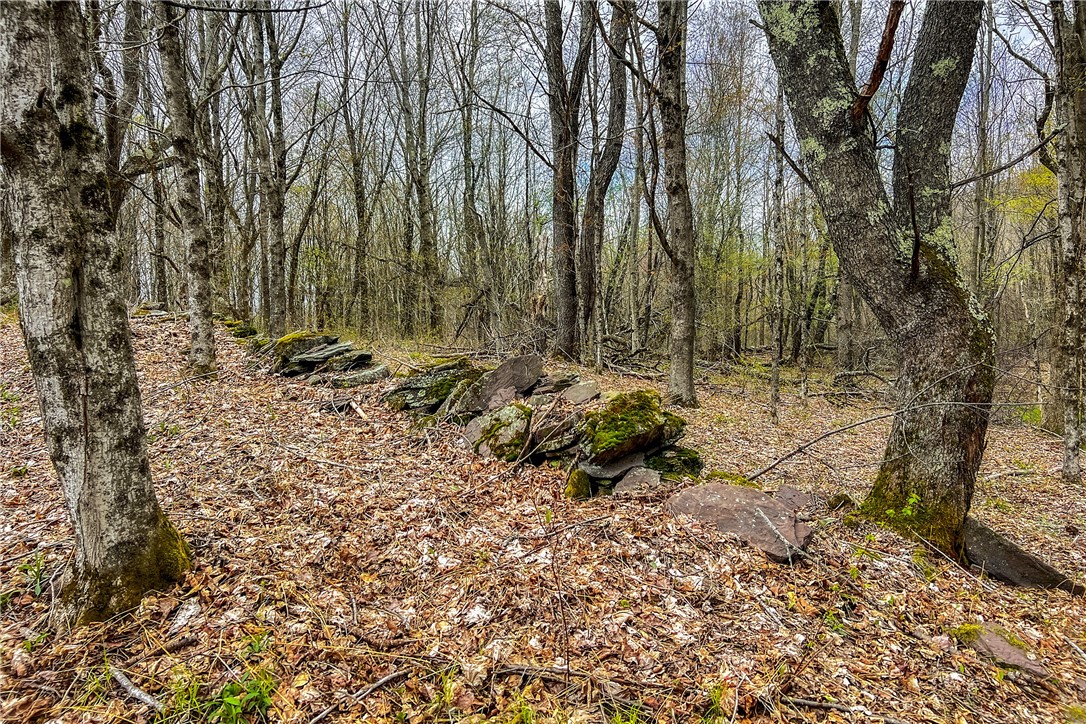 Lot 3 Brownell Road Bloomville, NY 13739 - Photo 20 of 35