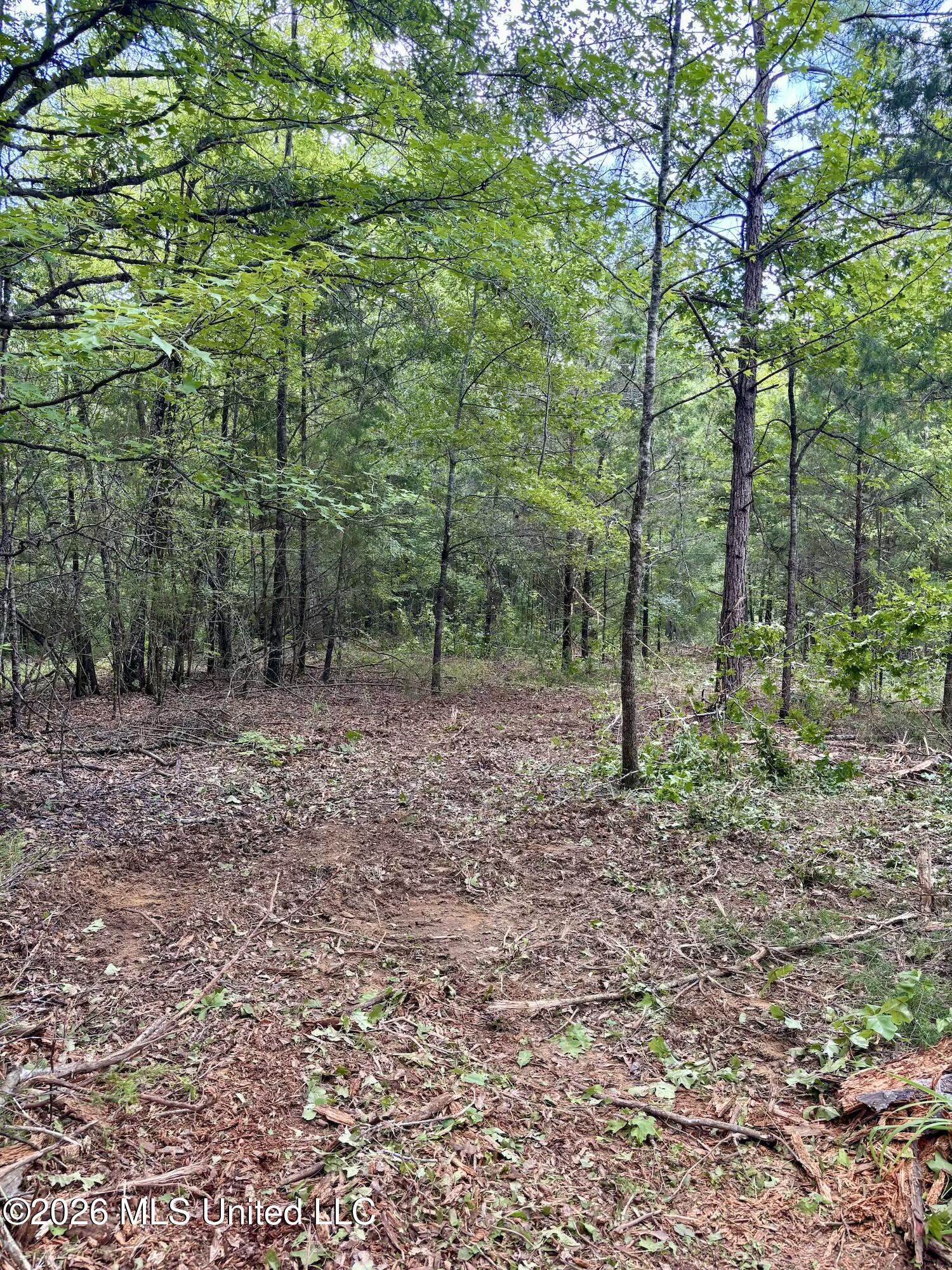 11616 Wildwood Road Vaughan, MS 39179 - Photo 5 of 27 IMG_4976