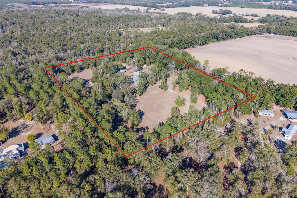 6247 Northwest 35th Street Bell, FL 32619 - Photo 43 of 50