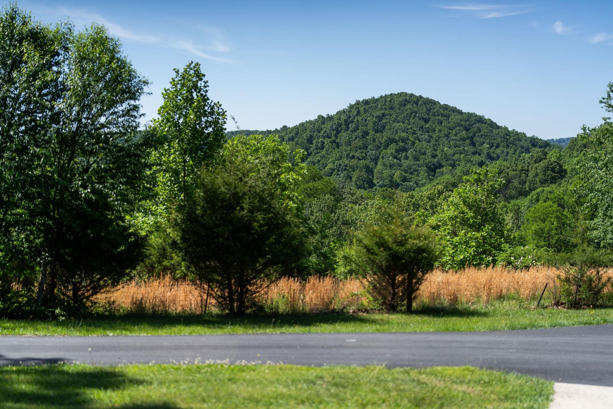 875 Campbells Hollow Road Middlebrook, VA 24459 - Photo 71 of 75