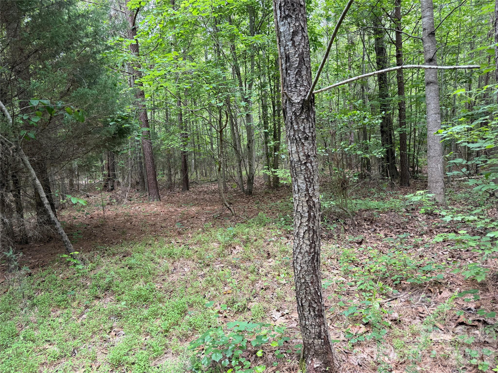 0 Herbert Faucette Road Bullock, NC 27507 - Photo 16 of 40