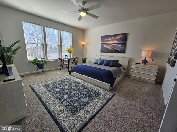 a living room with furniture windows and a rug