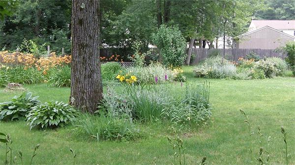 179 Senator Street Springfield, MA 01129 - Photo 8 of 21