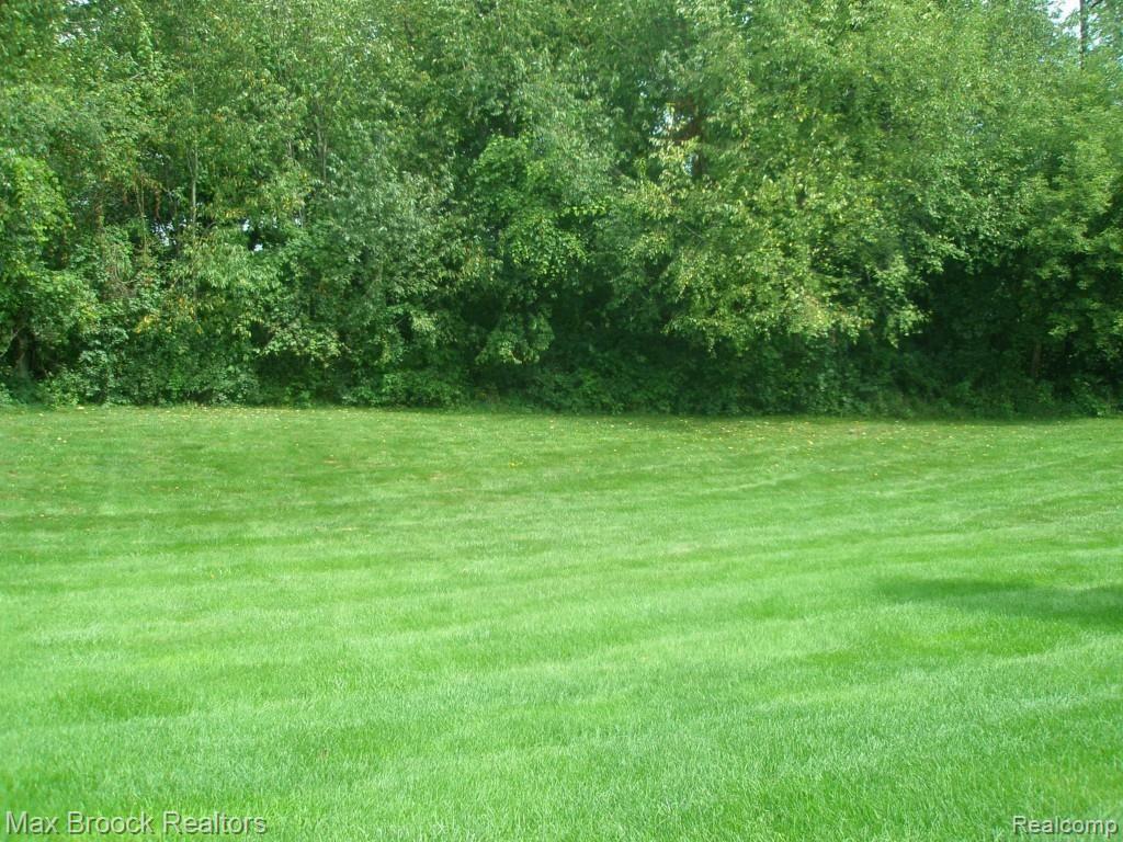 5556 Clarkston Road Clarkston, MI 48348 - Photo 21 of 22 032.jpg