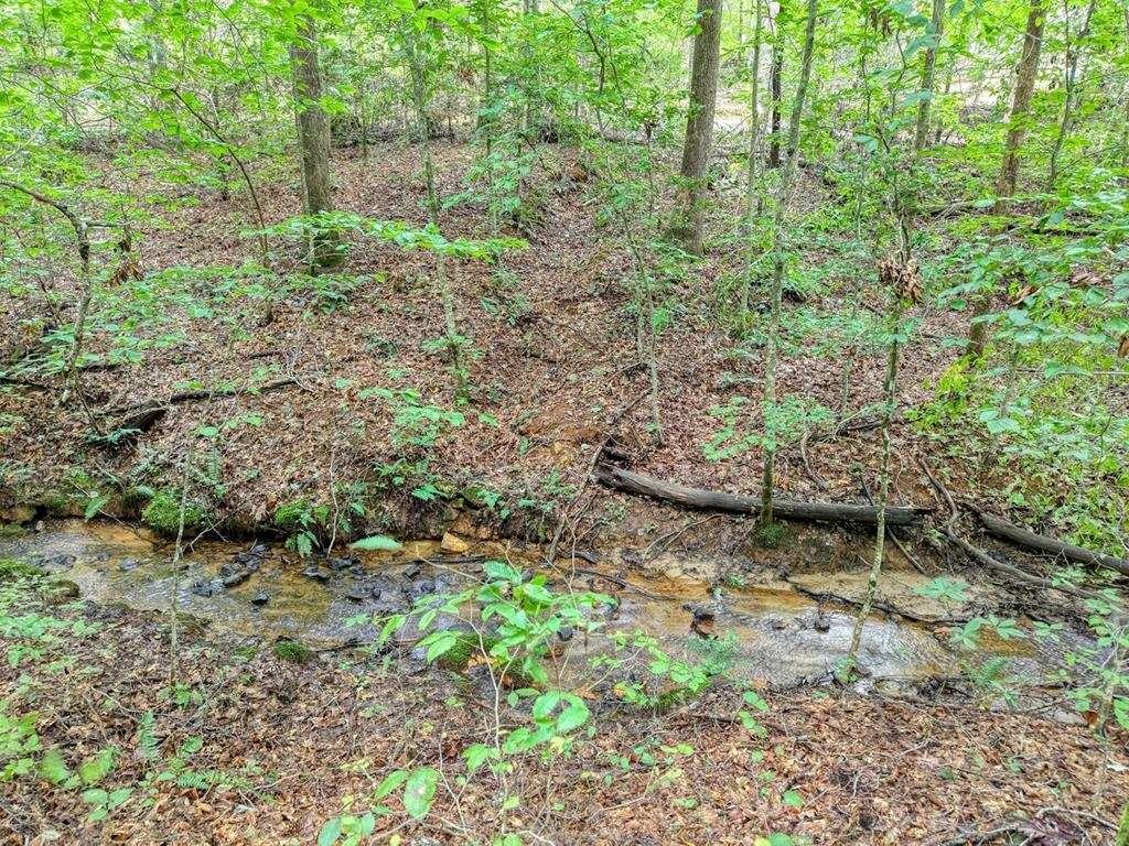 2479 Plum Orchard Road Clayton, GA 30525 - Photo 41 of 72 a backyard of a house with lots of green space