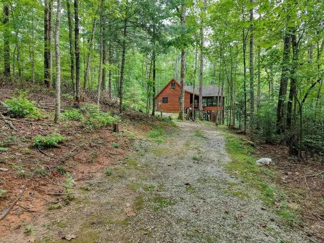 a backyard of a house with large trees and wooden fence