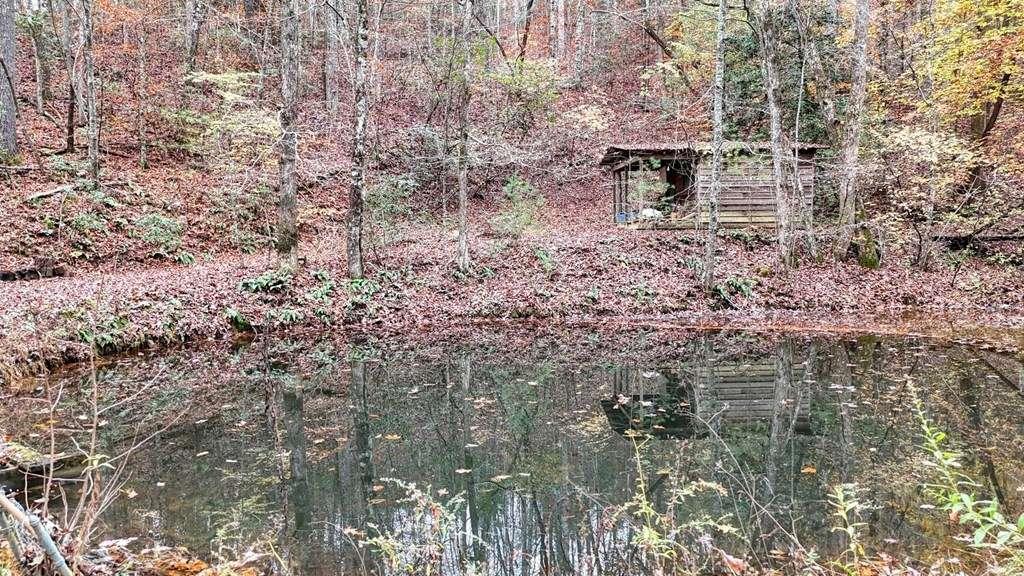 2479 Plum Orchard Road Clayton, GA 30525 - Photo 44 of 72 a backyard of a building