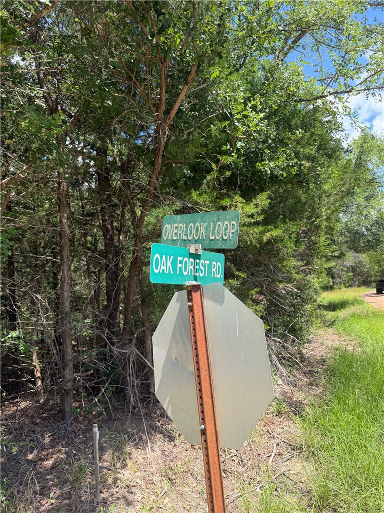 304 Overlook Loop Somerville, TX 77879 - Photo 11 of 17
