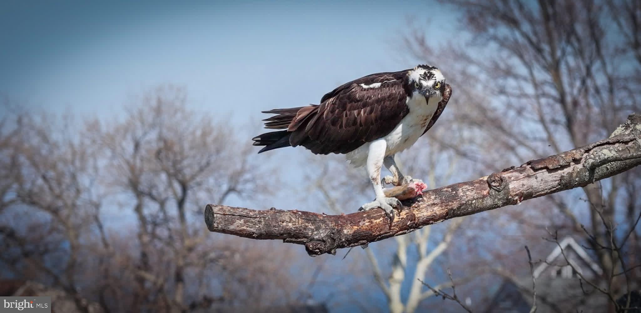 117 Midland Road Glen Burnie, MD 21060 - Photo 42 of 44