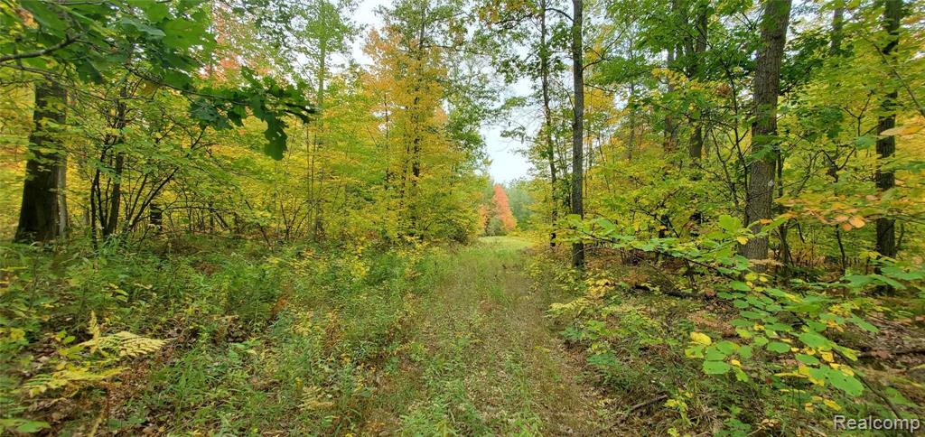 0 East Mannsiding Road Harrison, MI 48625 - Photo 5 of 9