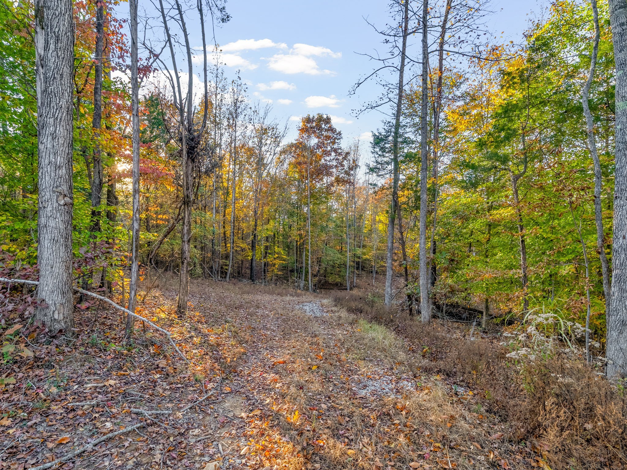 6 Belmont Road Clarksville, TN 37040 - Photo 44 of 49