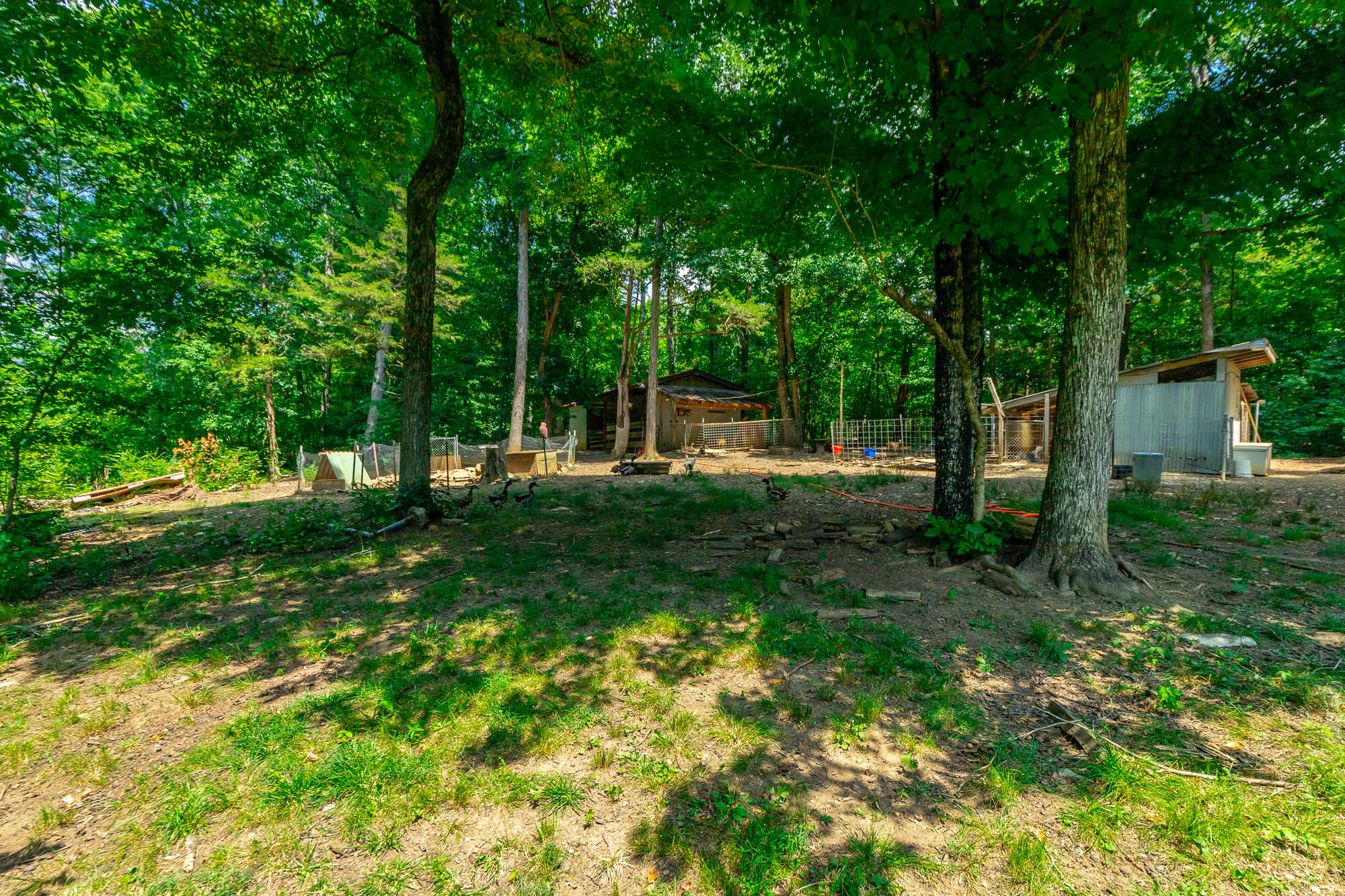 7636 Ooltewah Georgetown Road Ooltewah, TN 37363 - Photo 114 of 180 7636 Ooltewah Georgetown Road HD-17