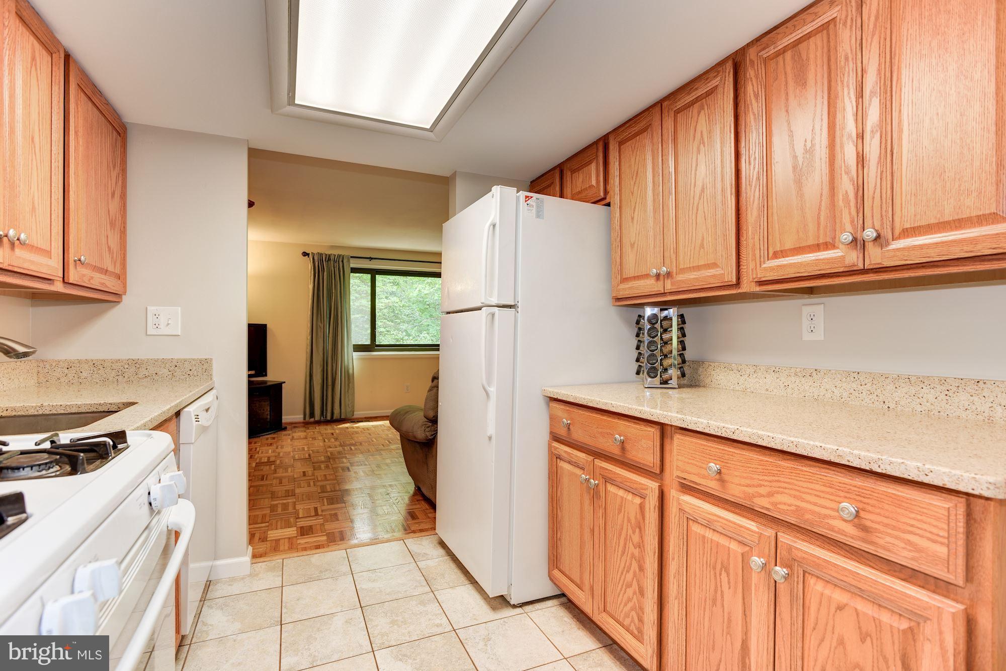 8919 Footed Ridge Columbia, MD 21045 - Photo 8 of 31 Kitchen