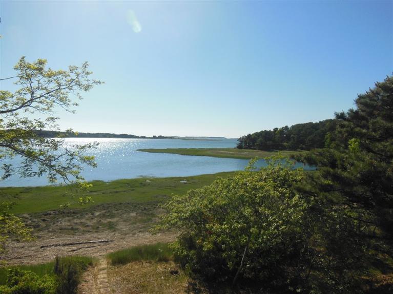 134 Compass Hill Road Wellfleet, MA 02667 - Photo 1 of 16 Primary Photo