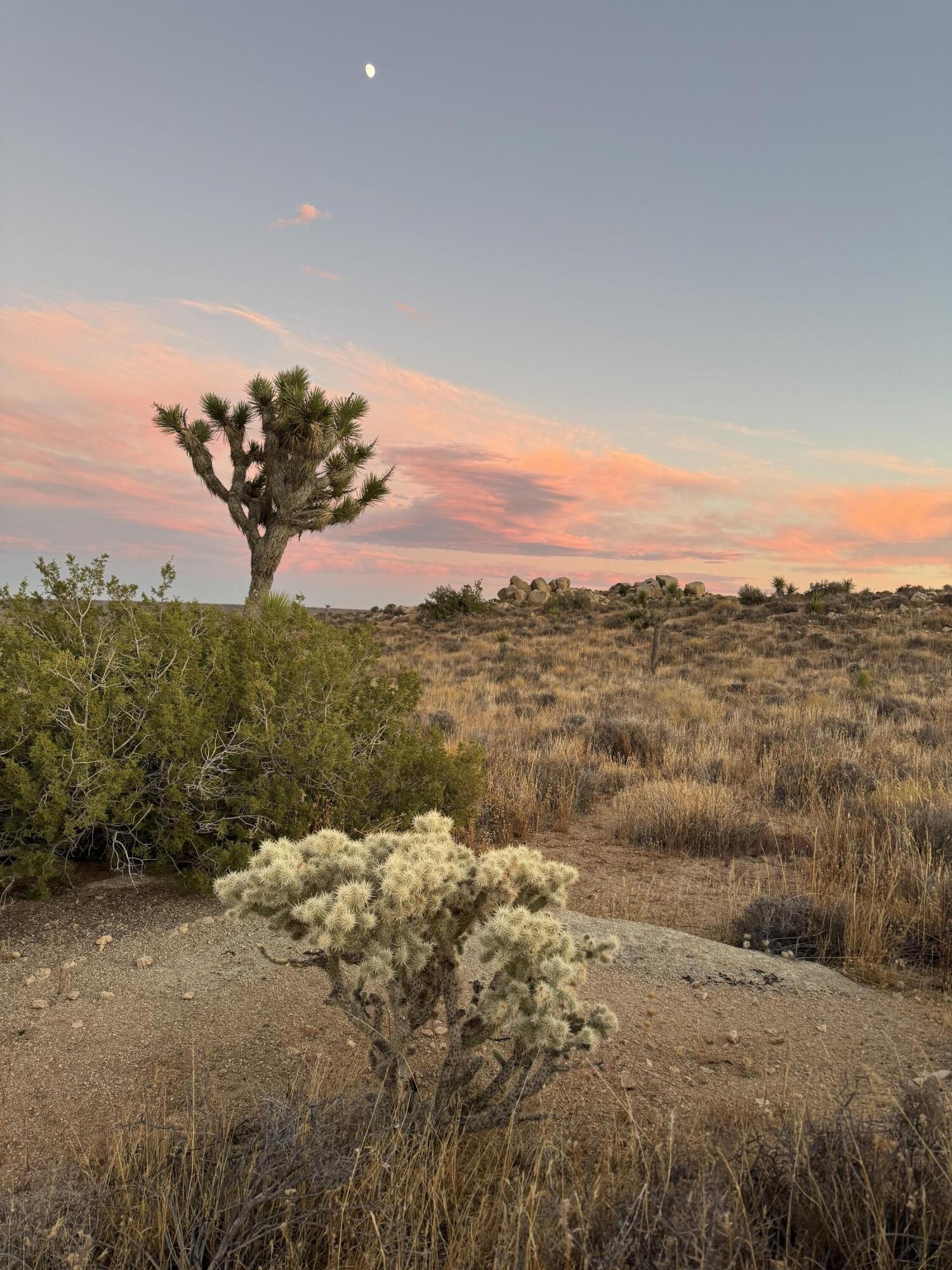52185 Jalmar Road Yucca Valley, CA 92285 - Photo 3 of 10 a view of a lake with a mountain in the background
