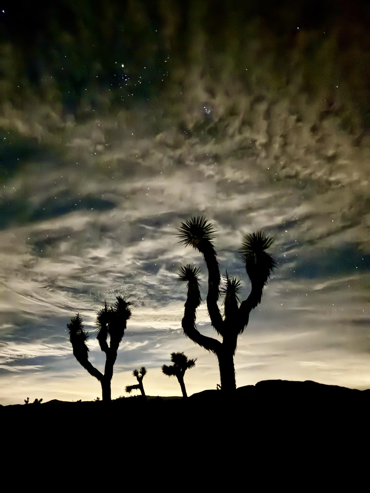 52185 Jalmar Road Yucca Valley, CA 92285 - Photo 5 of 10 a view of swimming pool from window