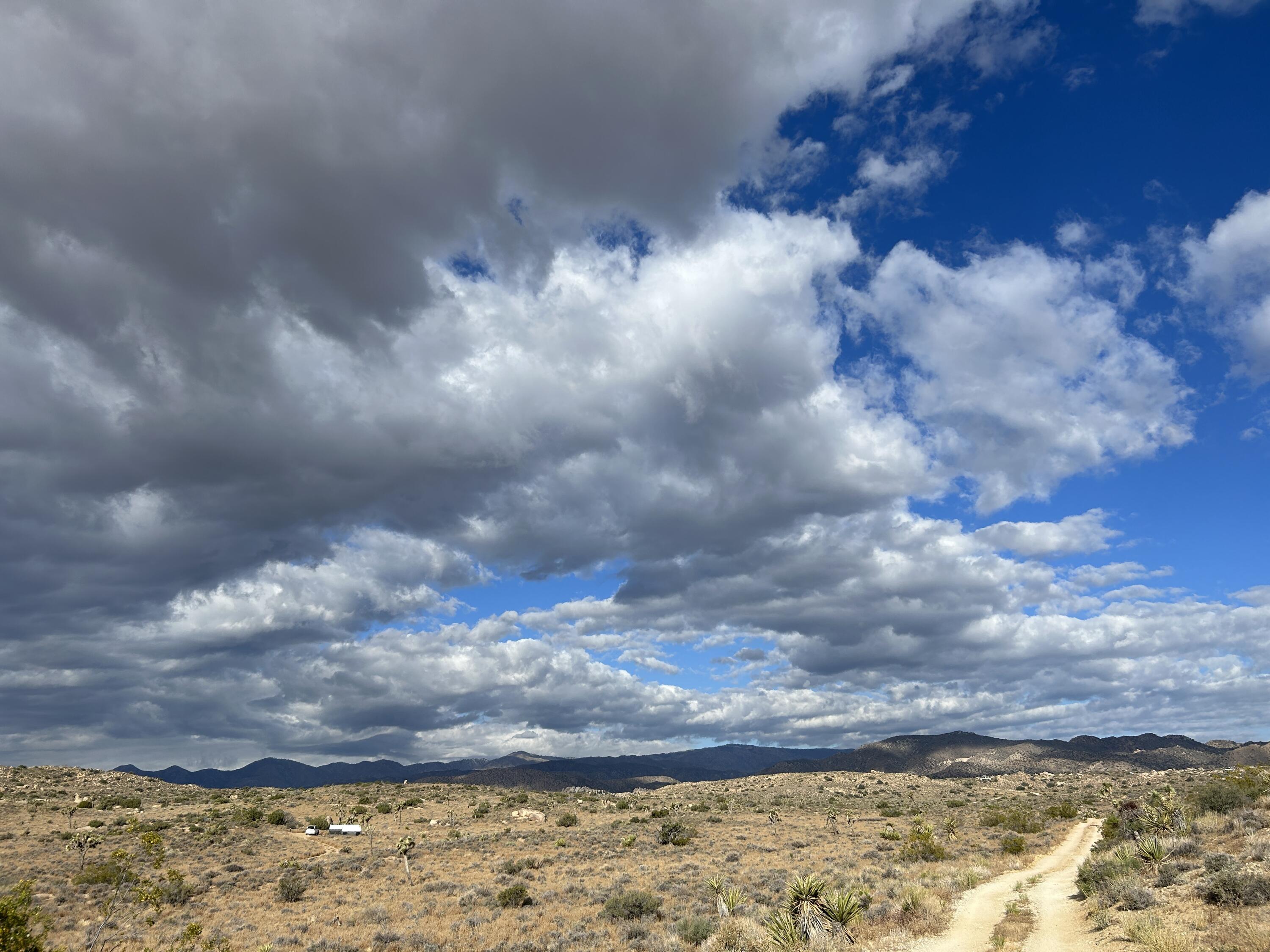52185 Jalmar Road Yucca Valley, CA 92285 - Photo 8 of 10 a view of a lake