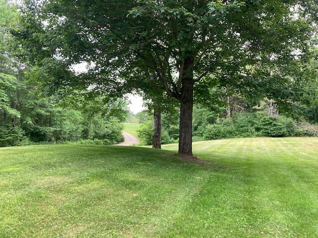 128 Back Searsport Road Belfast, ME 04915 - Photo 11 of 13 Yard