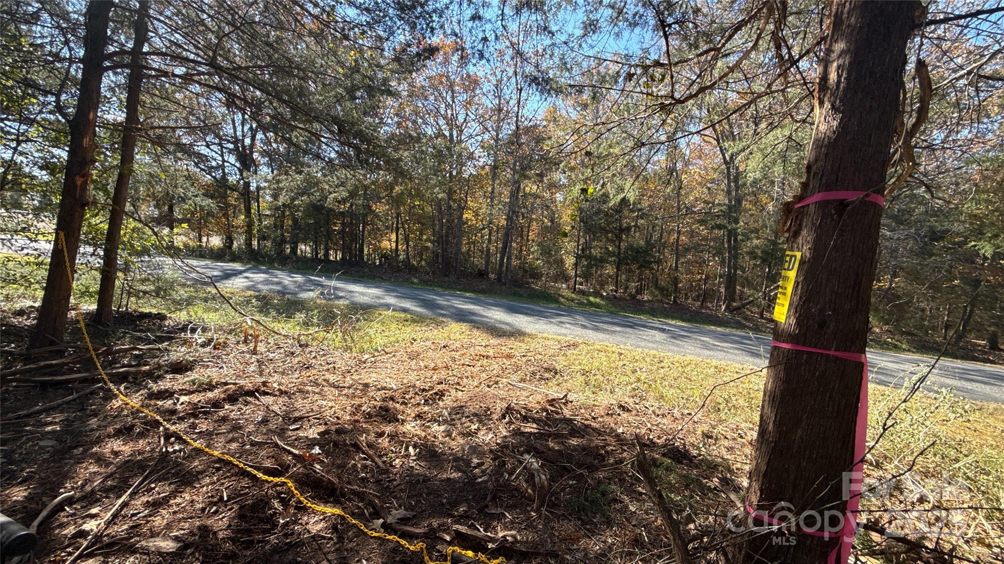 5401 Army Road Marshville, NC 28103 - Photo 15 of 21 a view of yard with trees