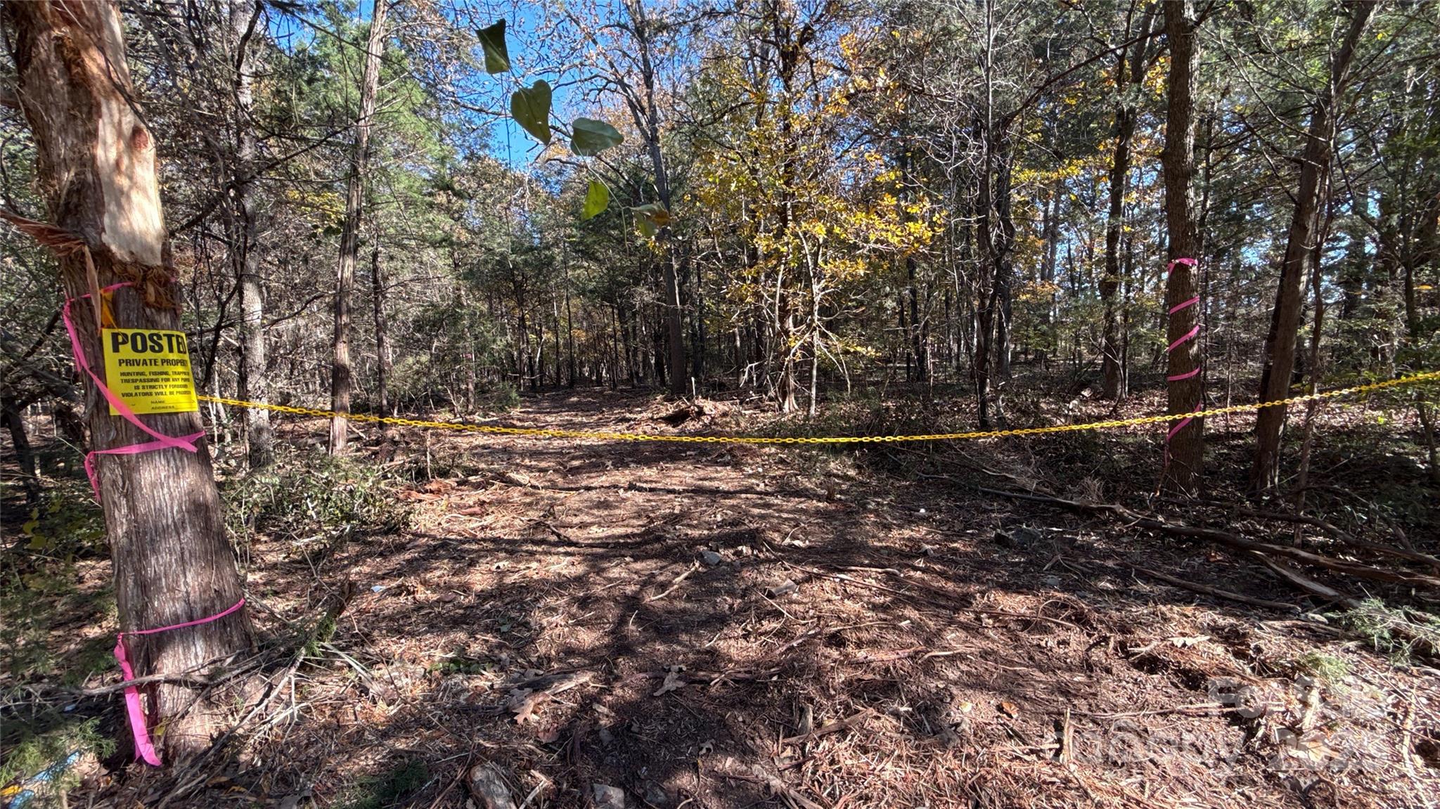5401 Army Road Marshville, NC 28103 - Photo 16 of 21 a backyard of a house with lots of green space