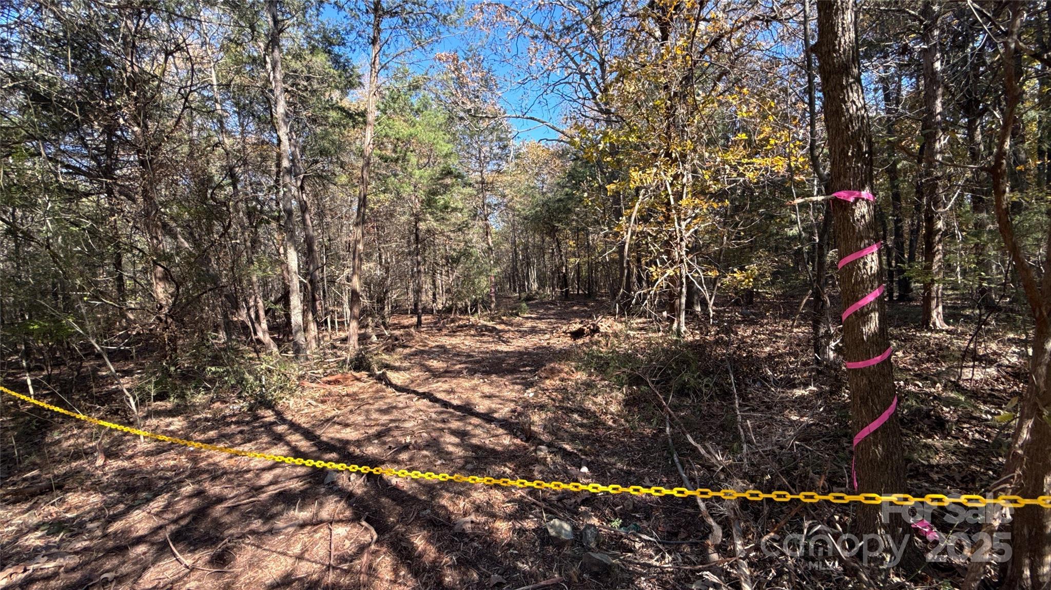 5401 Army Road Marshville, NC 28103 - Photo 17 of 21 a view of tree