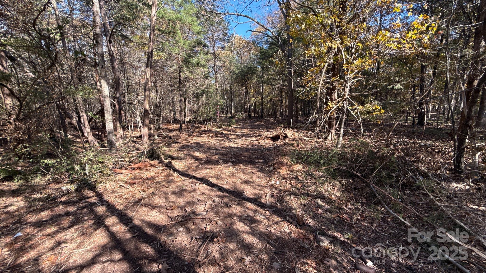 5401 Army Road Marshville, NC 28103 - Photo 18 of 21 a view of a large tree