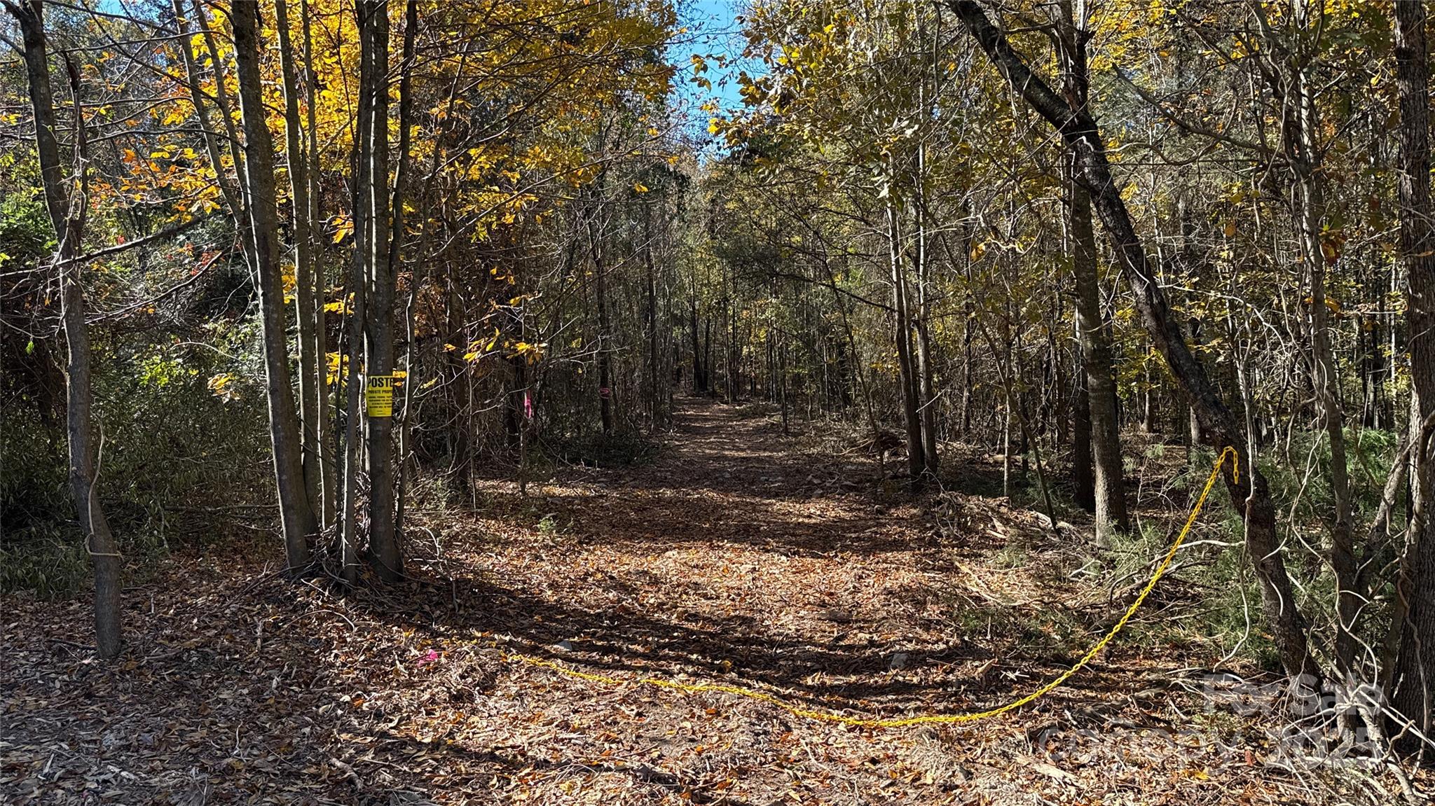 5401 Army Road Marshville, NC 28103 - Photo 19 of 21 a view of backyard with green space
