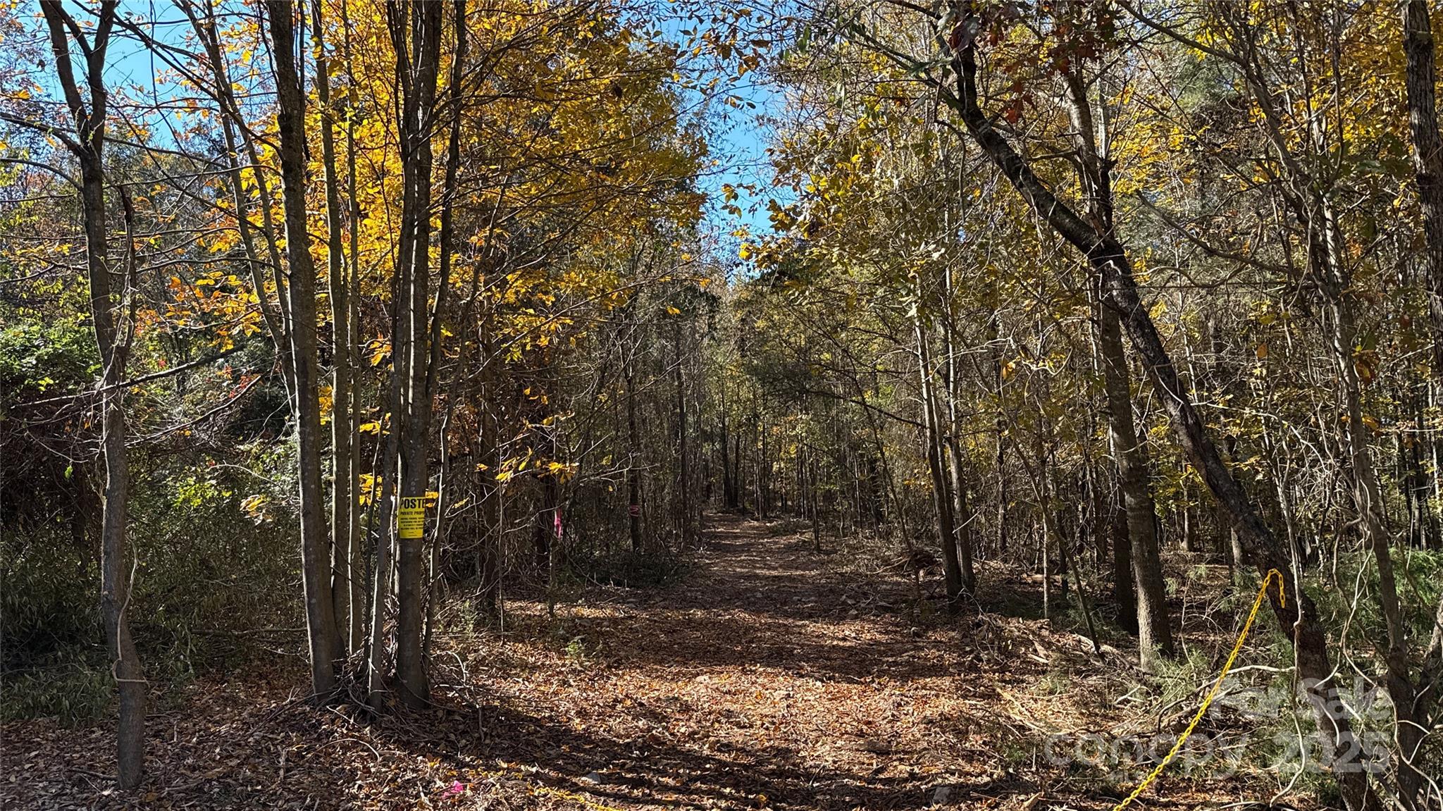 5401 Army Road Marshville, NC 28103 - Photo 20 of 21 a view of backyard with green space