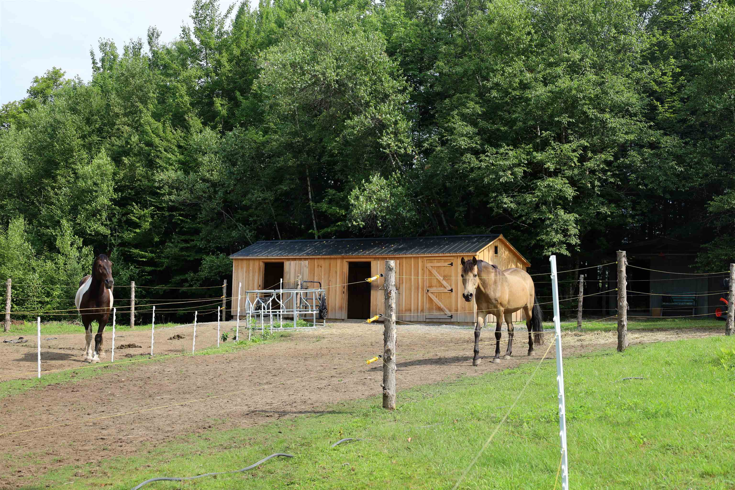 2205 Knowles Flat Road Eden, VT 05652 - Photo 13 of 42