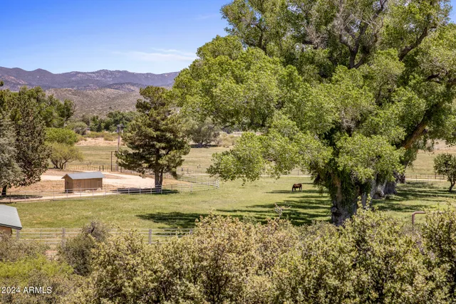 a view of a tennis ground with a big trees