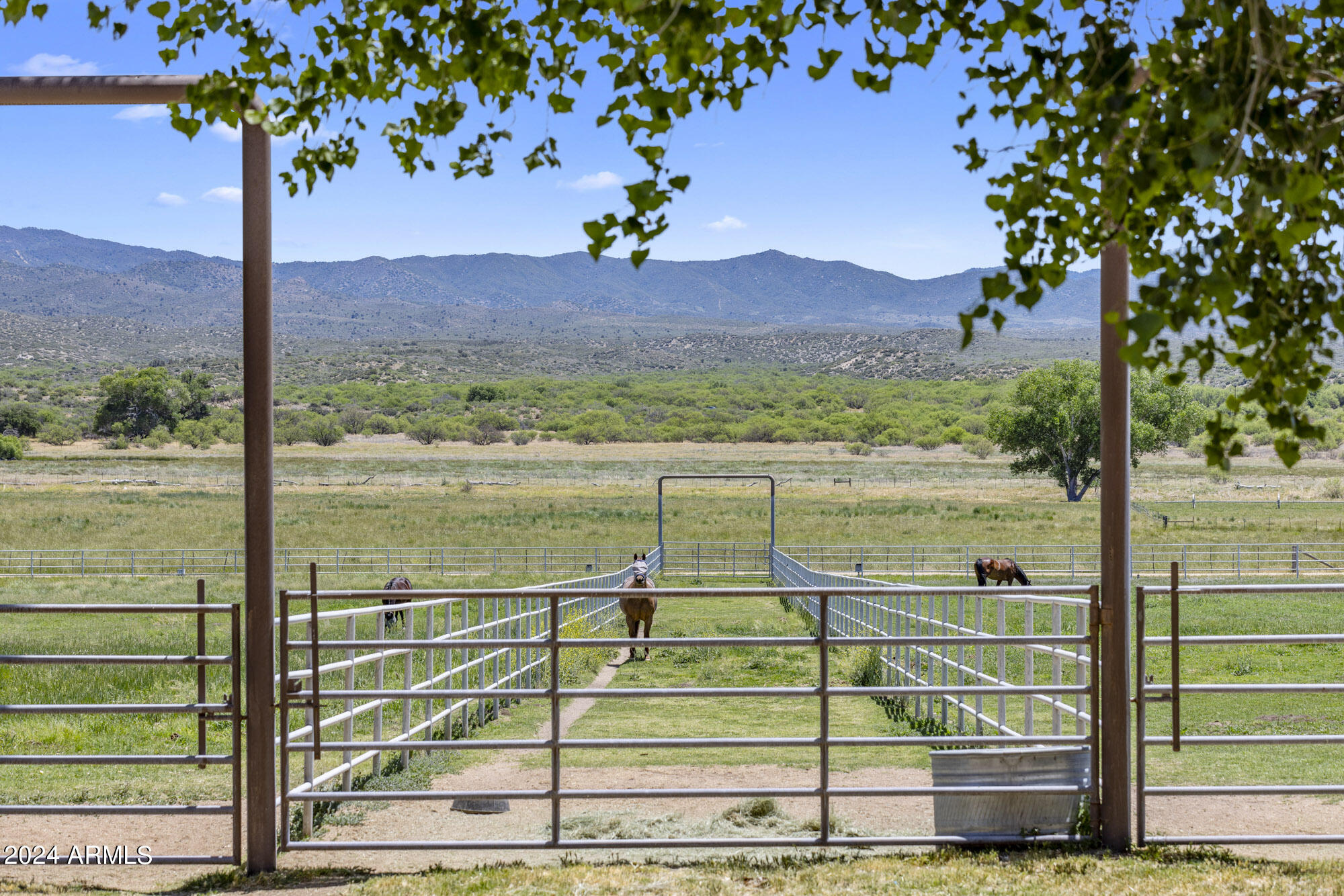 5500 Four Cross Ranch Road Skull Valley, AZ 86338 - Photo 39 of 59 a view of a garden from a window