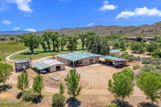 a view of a yard with plants and a trees