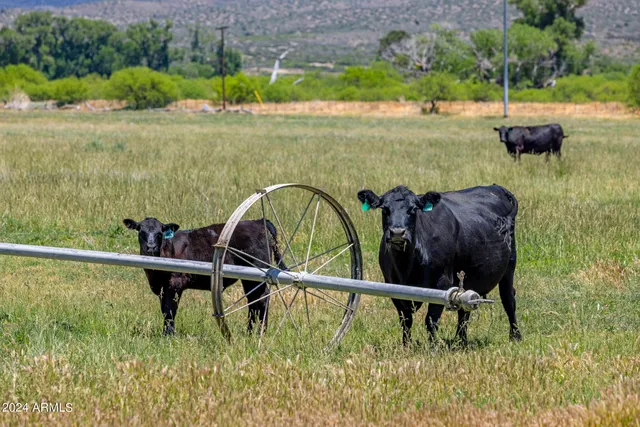a view of a lush green field with mountains in the background
