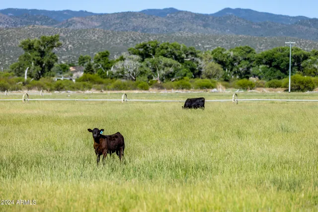 a view of a city with a mountain