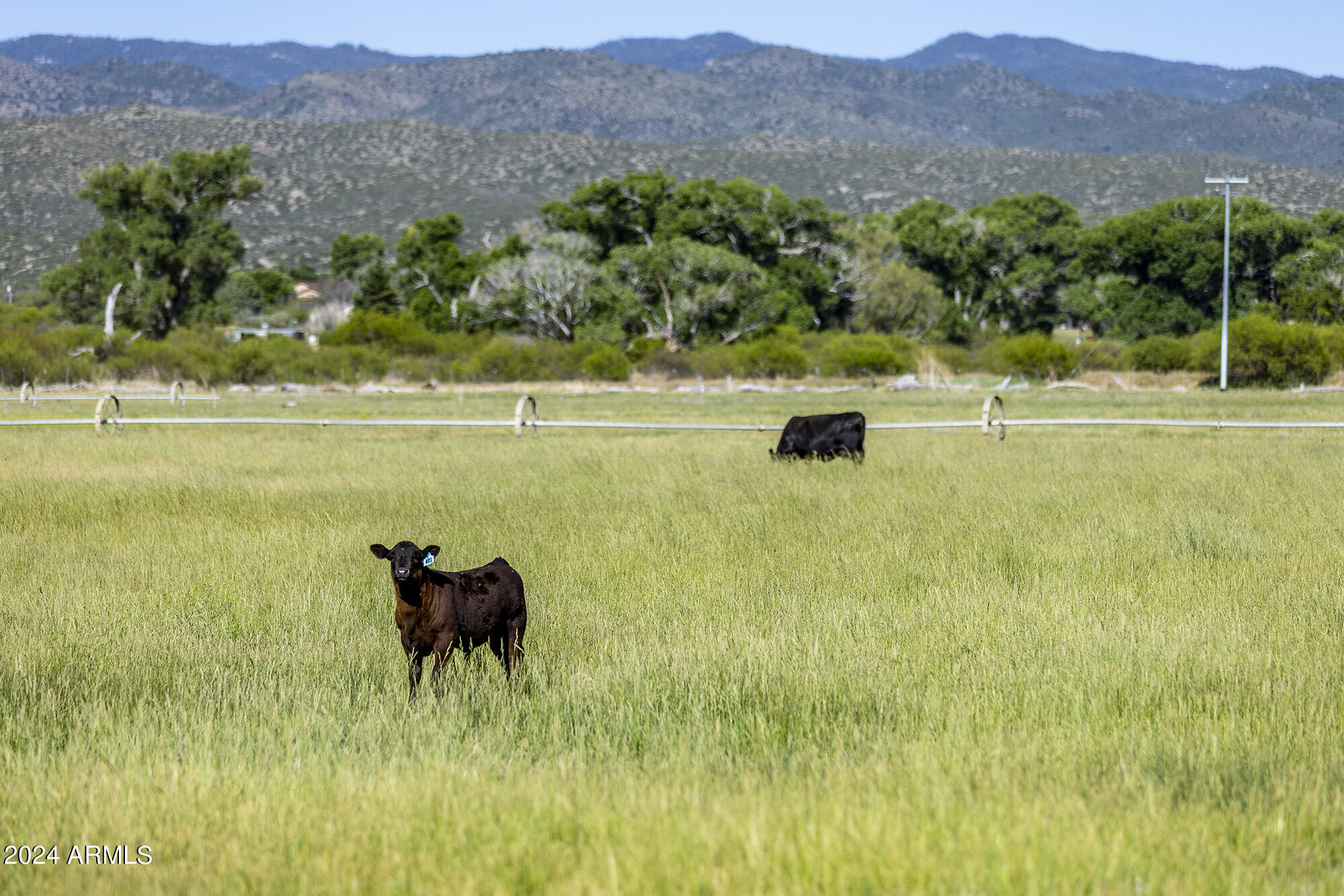 5500 Four Cross Ranch Road Skull Valley, AZ 86338 - Photo 47 of 59 a view of a lake with a mountain