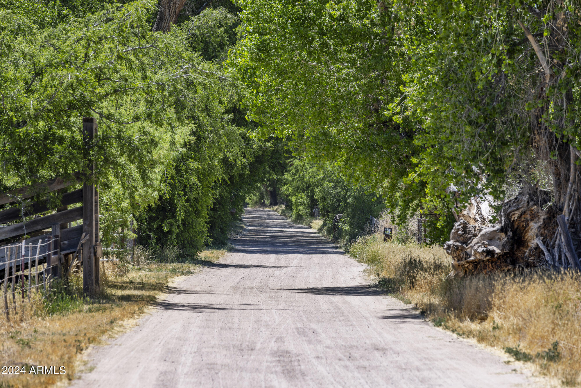 5500 Four Cross Ranch Road Skull Valley, AZ 86338 - Photo 49 of 59 a view of a yard with plants and a trees