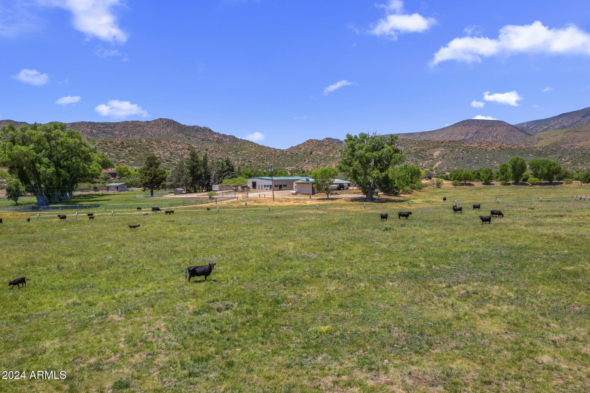 5500 Four Cross Ranch Road Skull Valley, AZ 86338 - Photo 57 of 59 a view of large trees with a big yard