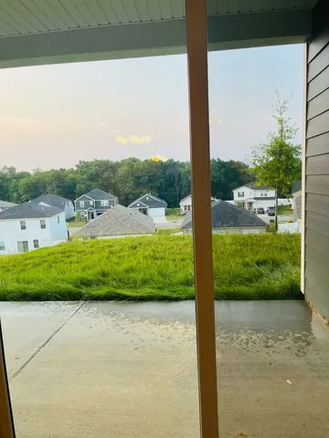 a view of a yard with potted plants
