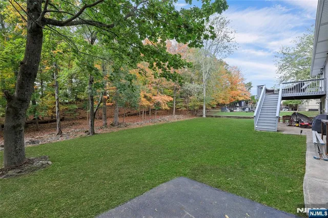 a view of a park with large trees